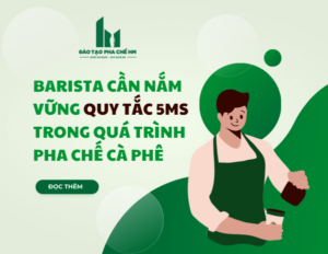 Barista cần nắm vững quy tắc 5Ms trong quá trình pha chế cà phê